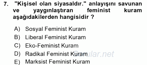 Toplumsal Cinsiyet Sosyolojisi 2017 - 2018 Ara Sınavı 7.Soru