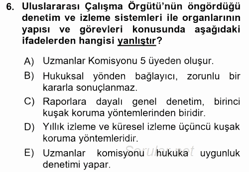 Uluslararası Sosyal Politika 2016 - 2017 Dönem Sonu Sınavı 6.Soru