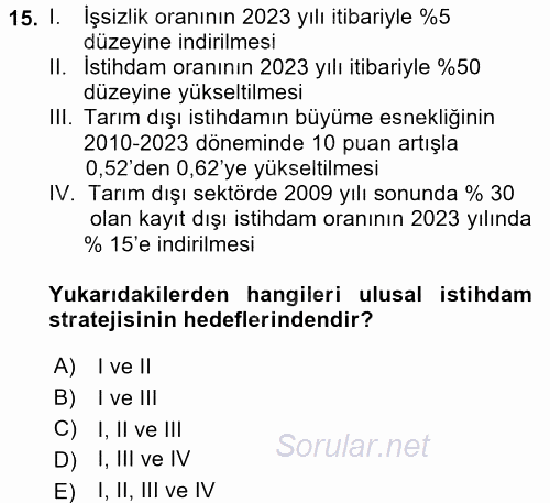 İstihdam ve İşsizlik 2017 - 2018 3 Ders Sınavı 15.Soru