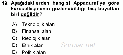Çağdaş Sosyoloji Kuramları 2017 - 2018 Dönem Sonu Sınavı 19.Soru
