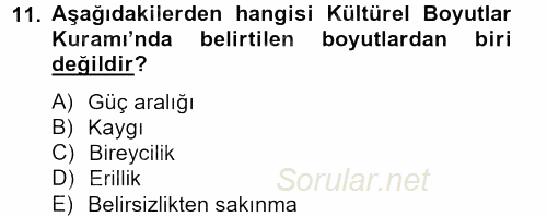 Kültürlerarası İletişim 2012 - 2013 Ara Sınavı 11.Soru