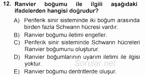 Temel Veteriner Histoloji ve Embriyoloji 2012 - 2013 Dönem Sonu Sınavı 12.Soru