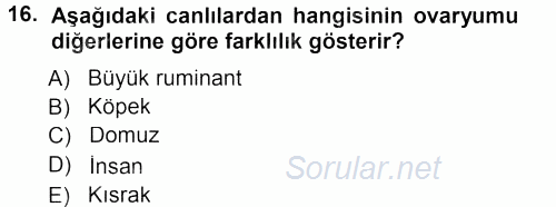 Temel Veteriner Histoloji ve Embriyoloji 2012 - 2013 Dönem Sonu Sınavı 16.Soru