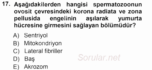 Temel Veteriner Histoloji ve Embriyoloji 2012 - 2013 Dönem Sonu Sınavı 17.Soru