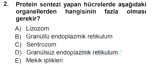 Temel Veteriner Histoloji ve Embriyoloji 2012 - 2013 Dönem Sonu Sınavı 2.Soru
