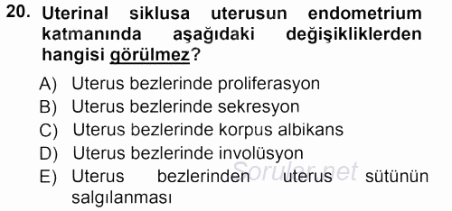 Temel Veteriner Histoloji ve Embriyoloji 2012 - 2013 Dönem Sonu Sınavı 20.Soru