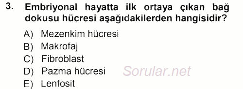 Temel Veteriner Histoloji ve Embriyoloji 2012 - 2013 Dönem Sonu Sınavı 3.Soru