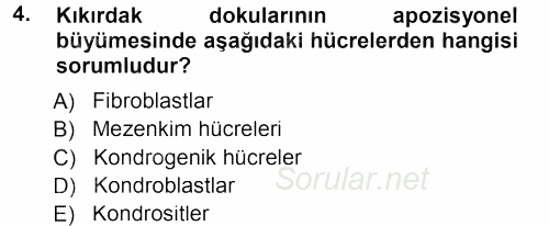 Temel Veteriner Histoloji ve Embriyoloji 2012 - 2013 Dönem Sonu Sınavı 4.Soru