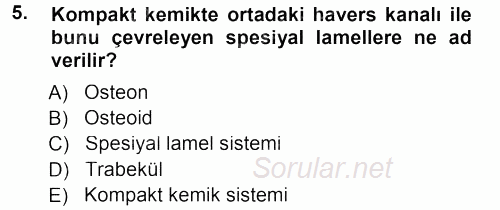 Temel Veteriner Histoloji ve Embriyoloji 2012 - 2013 Dönem Sonu Sınavı 5.Soru