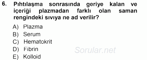 Temel Veteriner Histoloji ve Embriyoloji 2012 - 2013 Dönem Sonu Sınavı 6.Soru