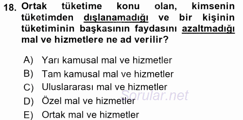 Maliye Politikası 2 2015 - 2016 Tek Ders Sınavı 18.Soru