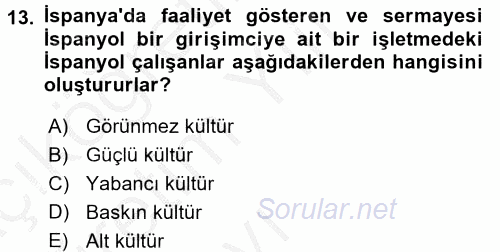 Stratejik Yönetim 1 2016 - 2017 3 Ders Sınavı 13.Soru