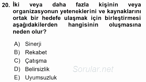 Stratejik Yönetim 1 2016 - 2017 3 Ders Sınavı 20.Soru