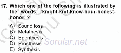 Dilbilim 2 2012 - 2013 Dönem Sonu Sınavı 17.Soru