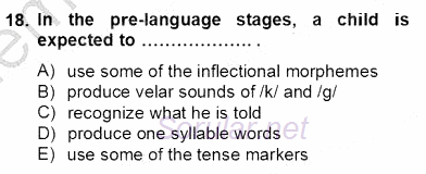 Dilbilim 2 2012 - 2013 Dönem Sonu Sınavı 18.Soru