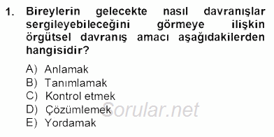 Organizasyonlarda Davranış 2012 - 2013 Dönem Sonu Sınavı 1.Soru