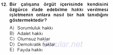 Organizasyonlarda Davranış 2012 - 2013 Dönem Sonu Sınavı 12.Soru