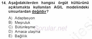 Organizasyonlarda Davranış 2012 - 2013 Dönem Sonu Sınavı 14.Soru