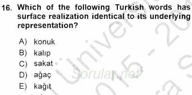 Türkçe Ses Ve Biçim Bilgisi 2015 - 2016 Ara Sınavı 16.Soru