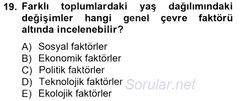 Stratejik Yönetim 1 2012 - 2013 Ara Sınavı 19.Soru