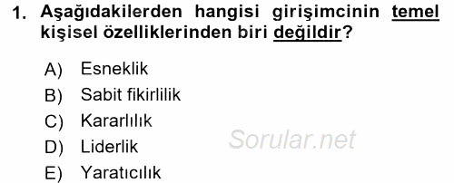 Girişimcilik 2016 - 2017 Dönem Sonu Sınavı 1.Soru