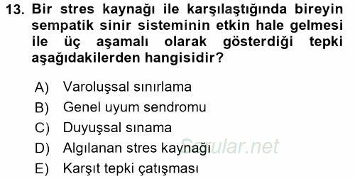 Verimlilik Yönetimi 2016 - 2017 Dönem Sonu Sınavı 13.Soru