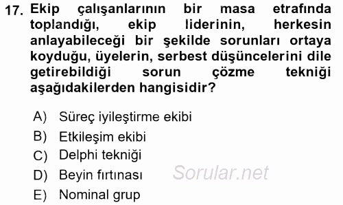 Verimlilik Yönetimi 2016 - 2017 Dönem Sonu Sınavı 17.Soru