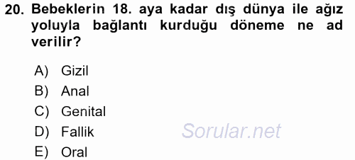 Birey ve Davranış 2015 - 2016 Ara Sınavı 20.Soru