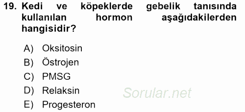 Doğum Bilgisi ve Suni Tohumlama 2016 - 2017 Ara Sınavı 19.Soru