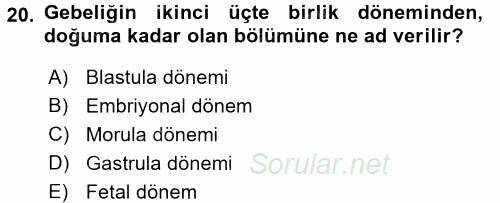 Doğum Bilgisi ve Suni Tohumlama 2016 - 2017 Ara Sınavı 20.Soru