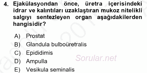 Doğum Bilgisi ve Suni Tohumlama 2016 - 2017 Ara Sınavı 4.Soru