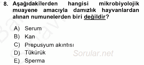 Doğum Bilgisi ve Suni Tohumlama 2016 - 2017 Ara Sınavı 8.Soru