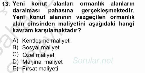 Doğal Kaynaklar ve Çevre Ekonomisi 2012 - 2013 Ara Sınavı 13.Soru