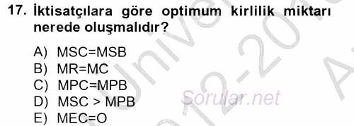 Doğal Kaynaklar ve Çevre Ekonomisi 2012 - 2013 Ara Sınavı 17.Soru