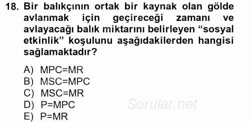 Doğal Kaynaklar ve Çevre Ekonomisi 2012 - 2013 Ara Sınavı 18.Soru