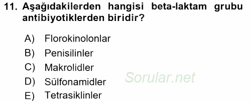 Temel İlaç Bilgisi Ve Akılcı İlaç Kullanımı 2017 - 2018 Ara Sınavı 11.Soru