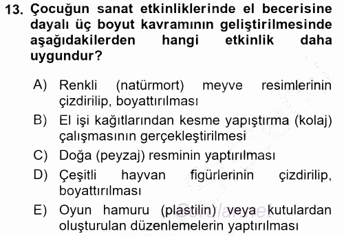 Çocukta Sanat Eğitimi Ve Yaratıcılık 2016 - 2017 Ara Sınavı 13.Soru