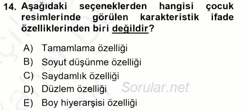 Çocukta Sanat Eğitimi Ve Yaratıcılık 2016 - 2017 Ara Sınavı 14.Soru