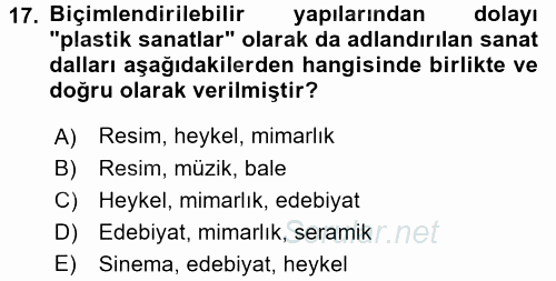Çocukta Sanat Eğitimi Ve Yaratıcılık 2016 - 2017 Ara Sınavı 17.Soru