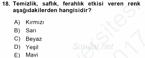 Çocukta Sanat Eğitimi Ve Yaratıcılık 2016 - 2017 Ara Sınavı 18.Soru