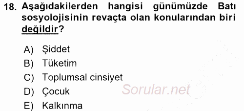 Türkiye´de Sosyoloji 2015 - 2016 Dönem Sonu Sınavı 18.Soru