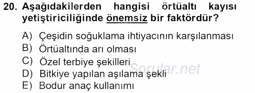 Örtü Altı Üretim Sistemleri 2013 - 2014 Dönem Sonu Sınavı 20.Soru