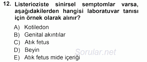 Veteriner Mikrobiyoloji ve Epidemiyoloji 2012 - 2013 Ara Sınavı 12.Soru