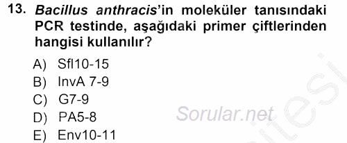 Veteriner Mikrobiyoloji ve Epidemiyoloji 2012 - 2013 Ara Sınavı 13.Soru