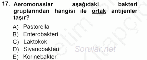 Veteriner Mikrobiyoloji ve Epidemiyoloji 2012 - 2013 Ara Sınavı 17.Soru