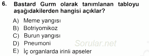Veteriner Mikrobiyoloji ve Epidemiyoloji 2012 - 2013 Ara Sınavı 6.Soru