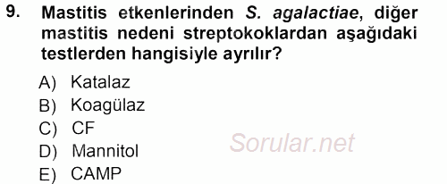 Veteriner Mikrobiyoloji ve Epidemiyoloji 2012 - 2013 Ara Sınavı 9.Soru