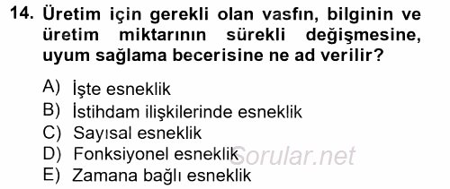 Yeni Teknolojiler ve Çalışma Hayatı 2012 - 2013 Ara Sınavı 14.Soru