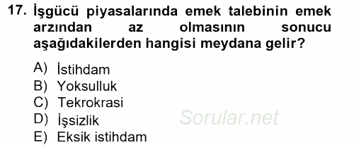 Yeni Teknolojiler ve Çalışma Hayatı 2012 - 2013 Ara Sınavı 17.Soru