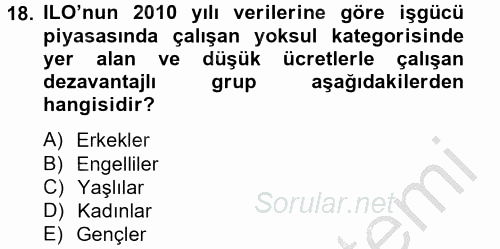 Yeni Teknolojiler ve Çalışma Hayatı 2012 - 2013 Ara Sınavı 18.Soru